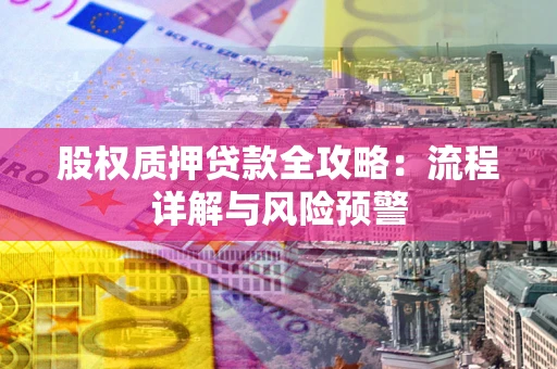 北京股权质押贷款全攻略：流程详解与风险预警