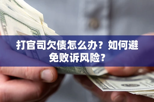 北京打官司欠债怎么办？如何避免败诉风险？