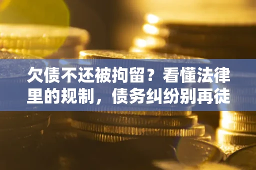 北京欠债不还被拘留？看懂法律里的规制，债务纠纷别再徒劳奔波