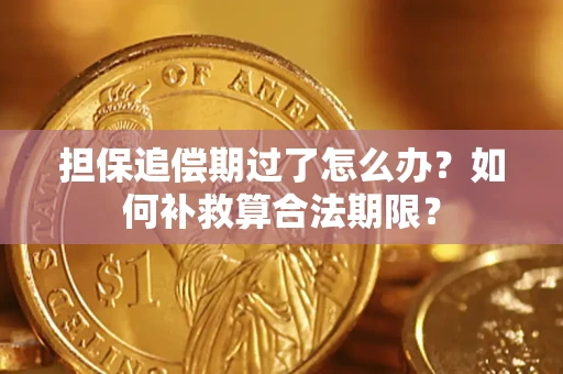 北京担保追偿期过了怎么办？如何补救算合法期限？